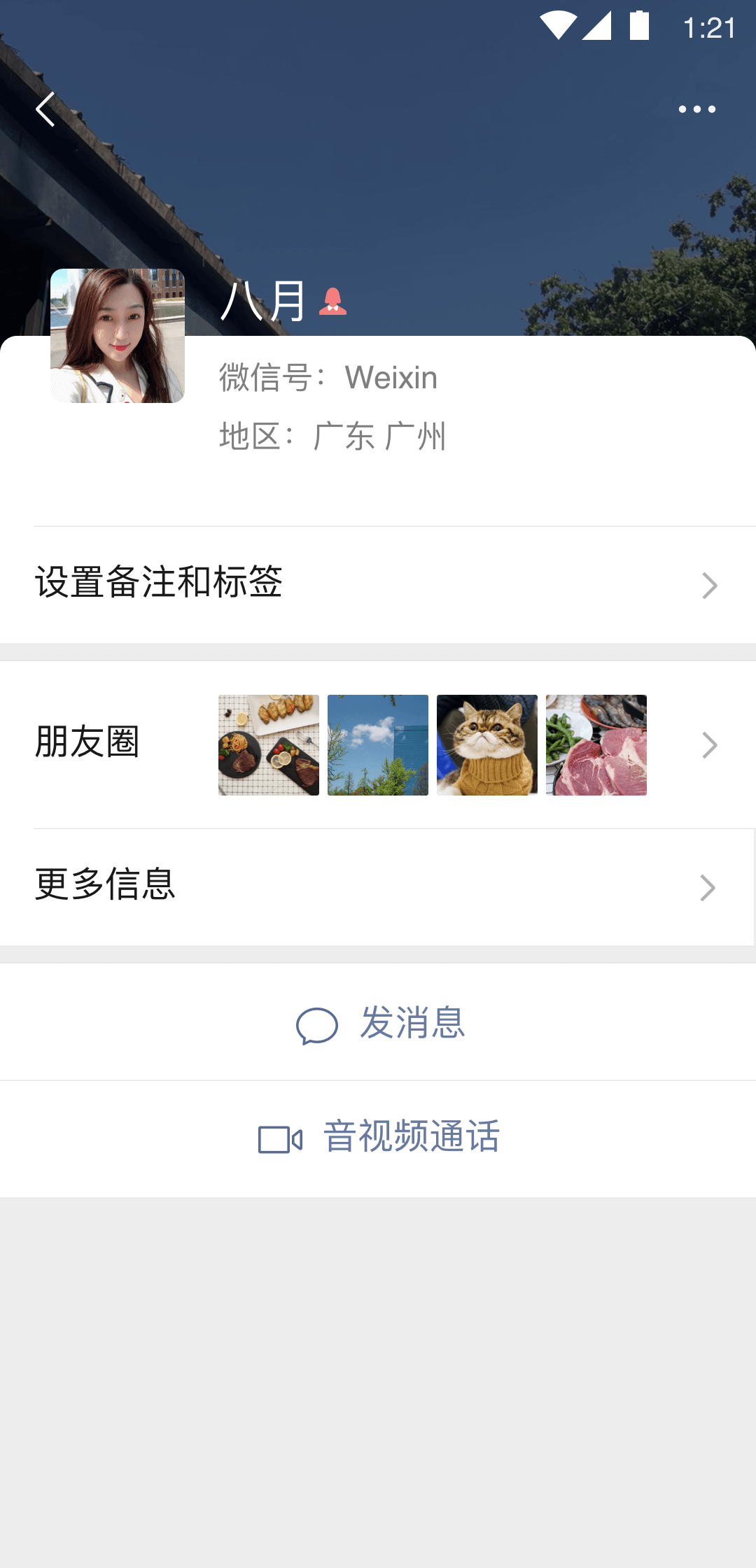 长腿昆虫,身体很小,退细长截图
